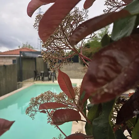 Casa Fraga Do Suadouro קאמפו דו ז'רס